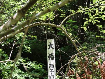 高川：高川探見　これ知っていますか？~part1~