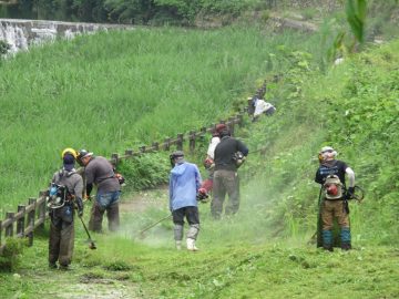 高川：旧高川小学校・彩の丘草刈り作業