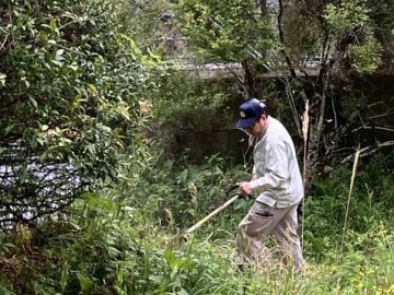 高川：フットパスに備えて環境整備をしました